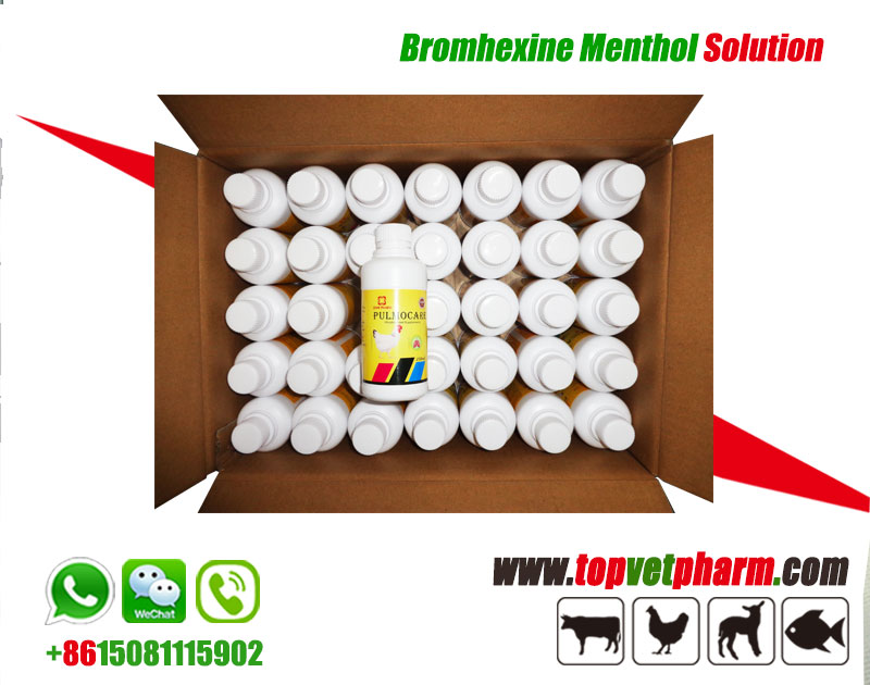 Menthol Bromhexine Hcl Oral Solution