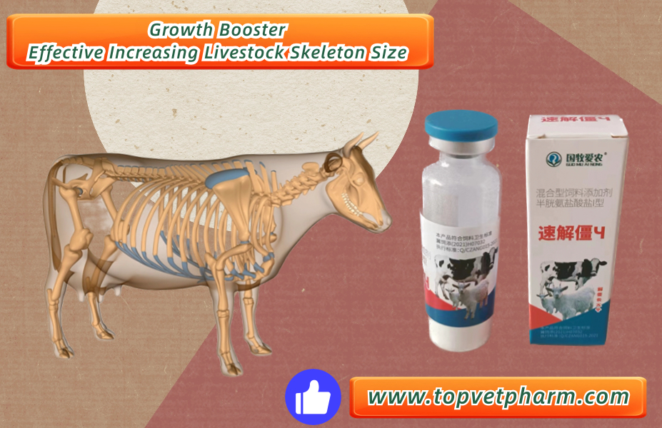 How to make cow growing fast and skeleton more bigger ???