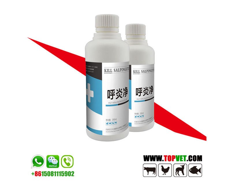 Mp Cleaner Mp Cleaner