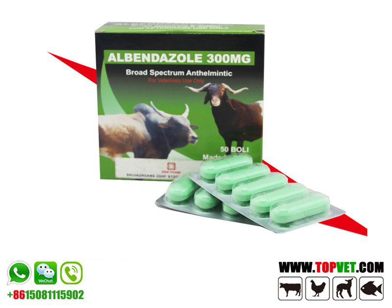 Albendazole Bolus Albendazole Bolus