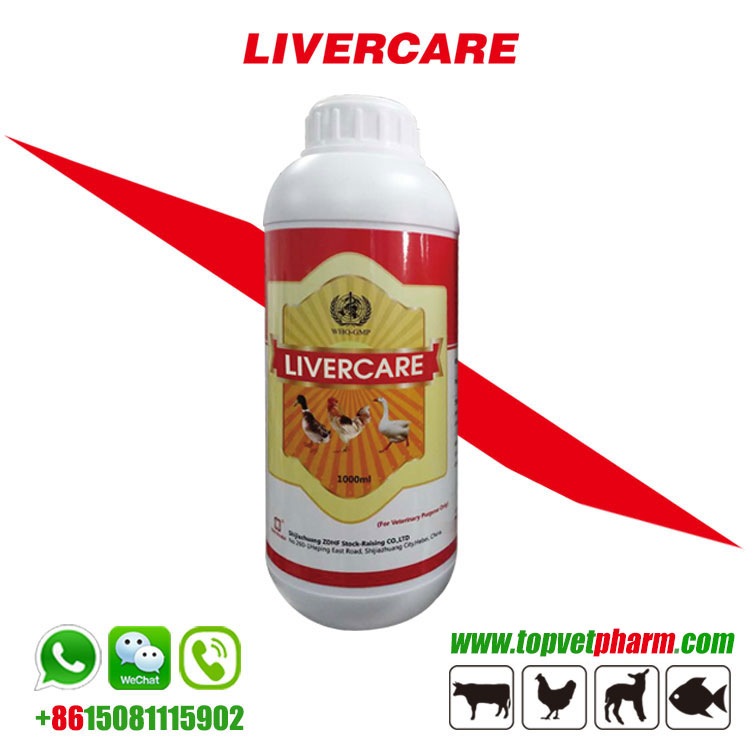 Liver Tonic Oral Solution