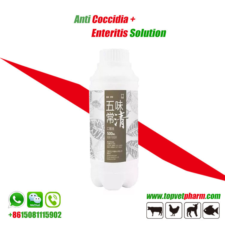 Coccidiosis Toltrazuril Oral Solution Herbal Coccidiosis Medicine