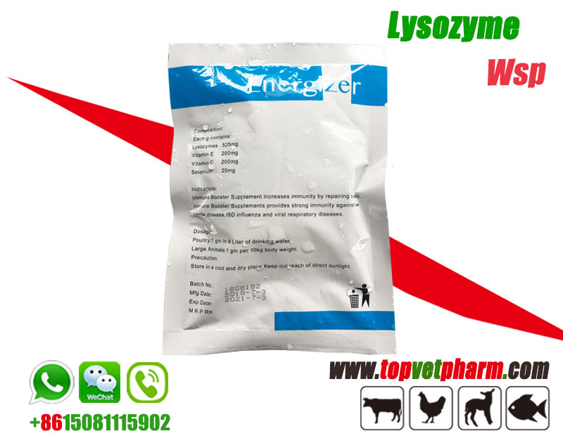 Lysozyme Water Soluble Powder