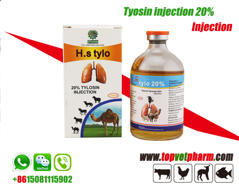  10% 20% Tylosin Injection  