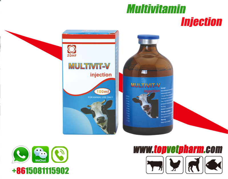 Livestock Multivitamin Injection