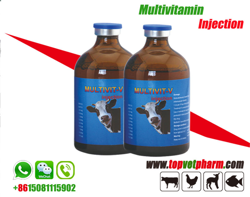 Livestock Multivitamin Injection