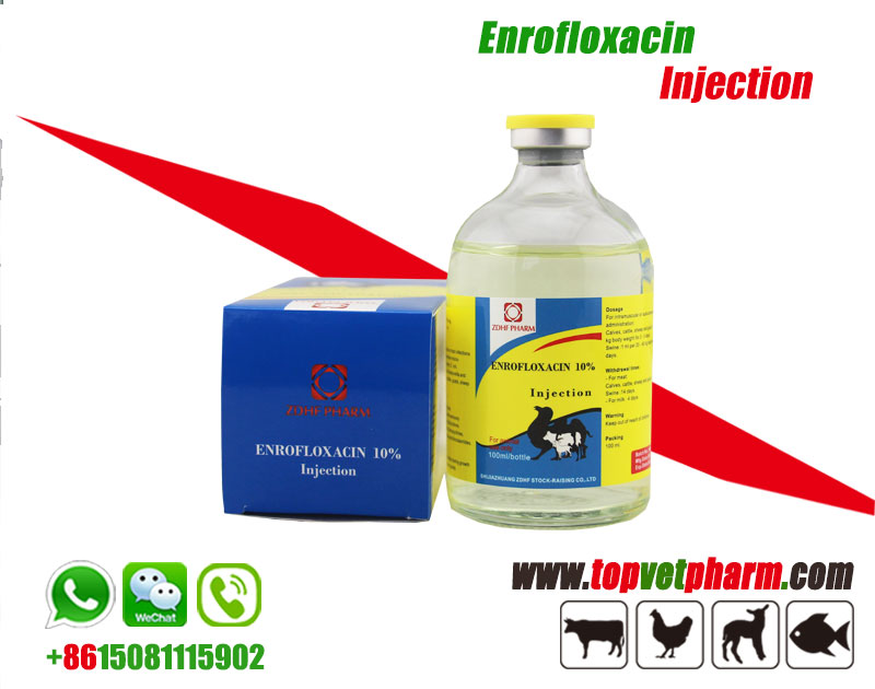 10% 20% Enrofloxacin Injection Solution