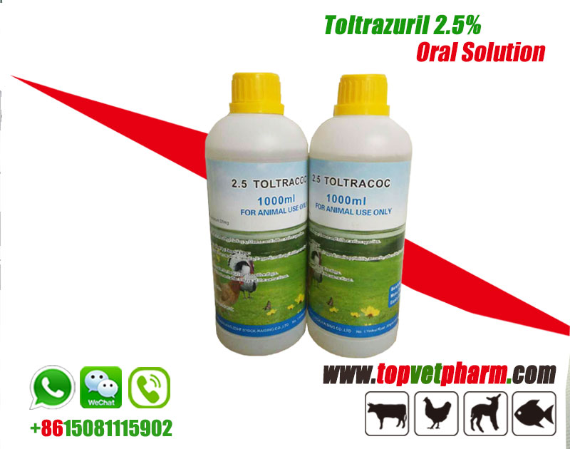  Toltrazuril 2.5% Oral Solution 