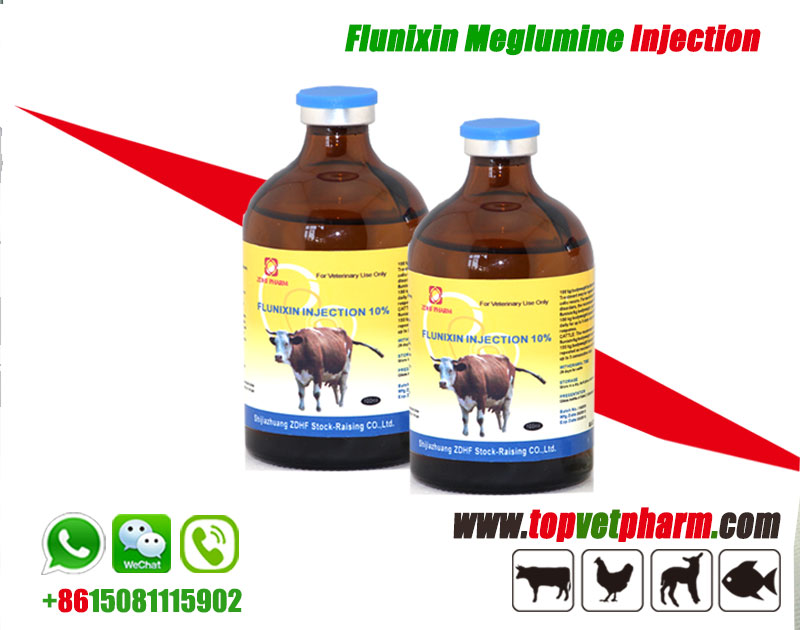 Flunixin Meglumine Injection