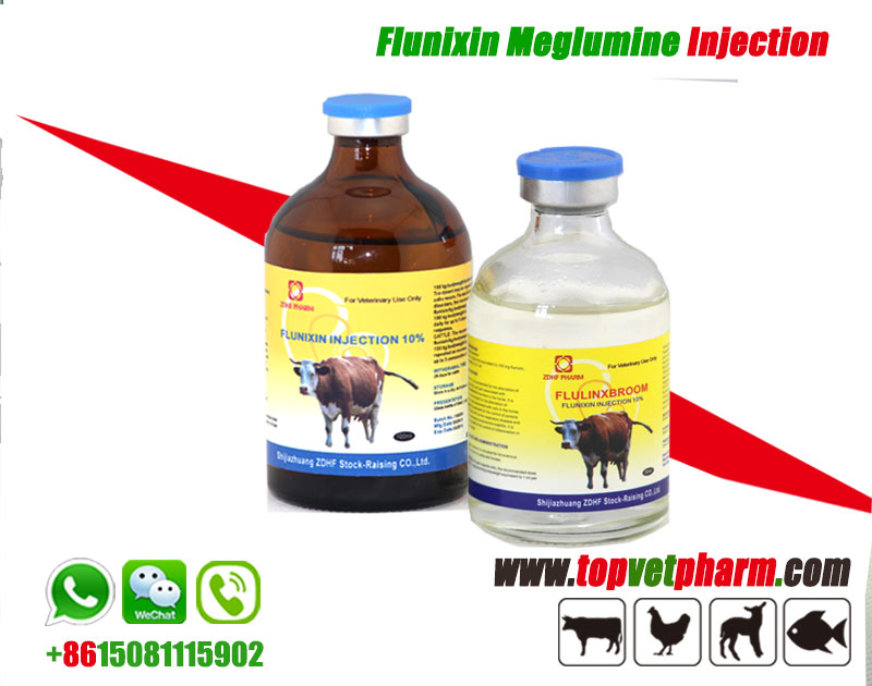 Flunixin Meglumine Injection