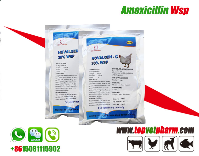 Amoxicillin Water Soluble Powder 