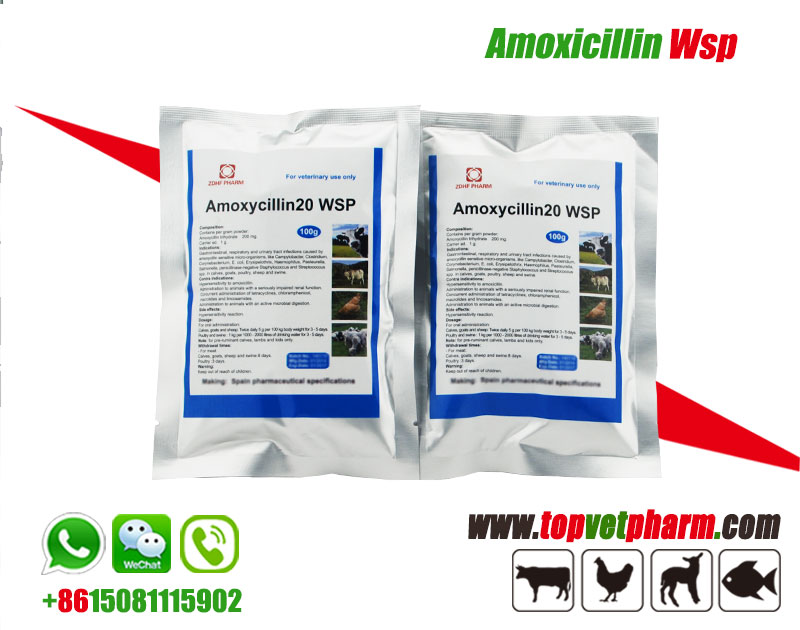 Amoxicillin Water Soluble Powder 