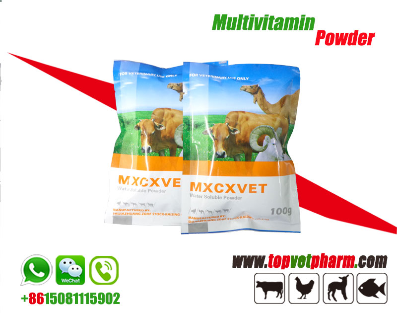 Multivitamin Water Soluble Powder