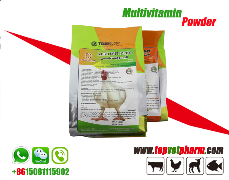 Multivitamin Water Soluble Powder