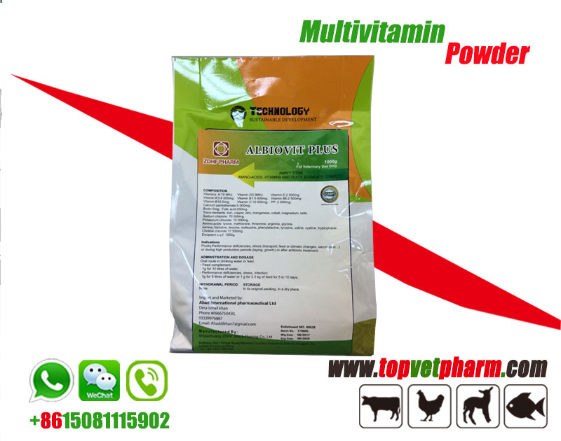 Multivitamin Water Soluble Powder