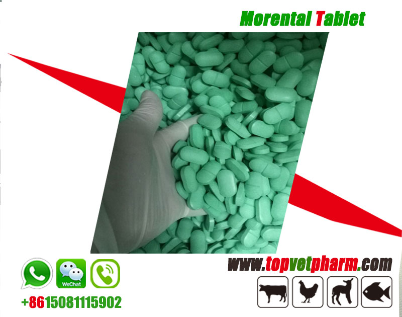 Morantel tablet