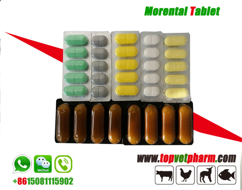Morantel tablet