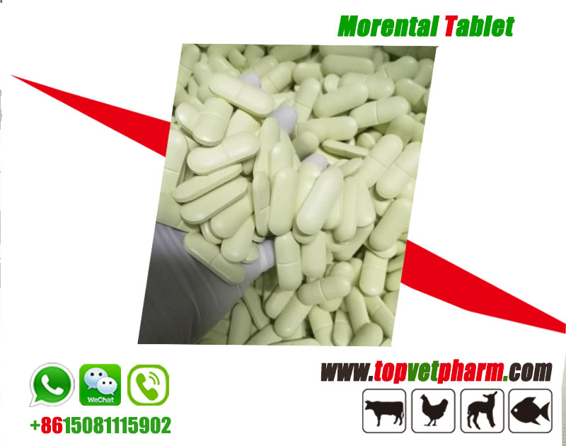 Morantel tablet