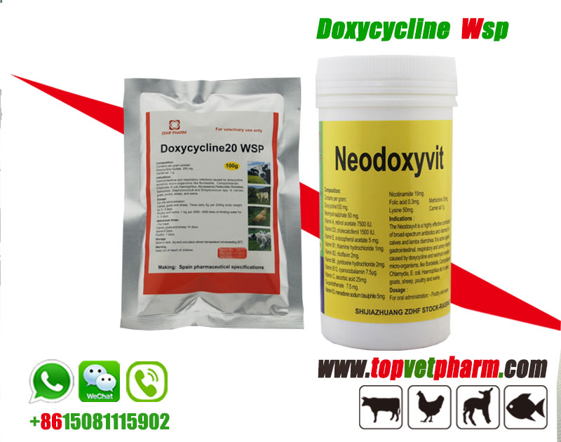 Doxycycline Hcl Water Soluble Powder