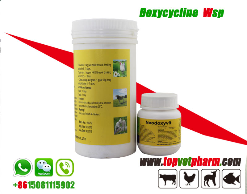 Doxycycline Hcl Water Soluble Powder