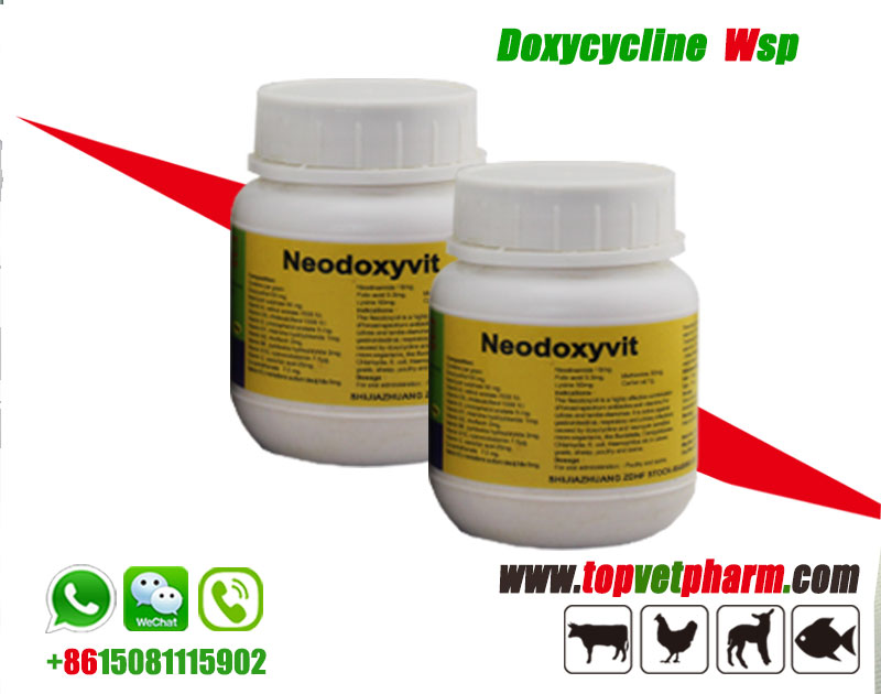 Doxycycline Hcl Water Soluble Powder