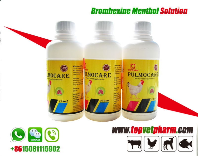 Menthol Bromhexine Hcl Oral Solution 