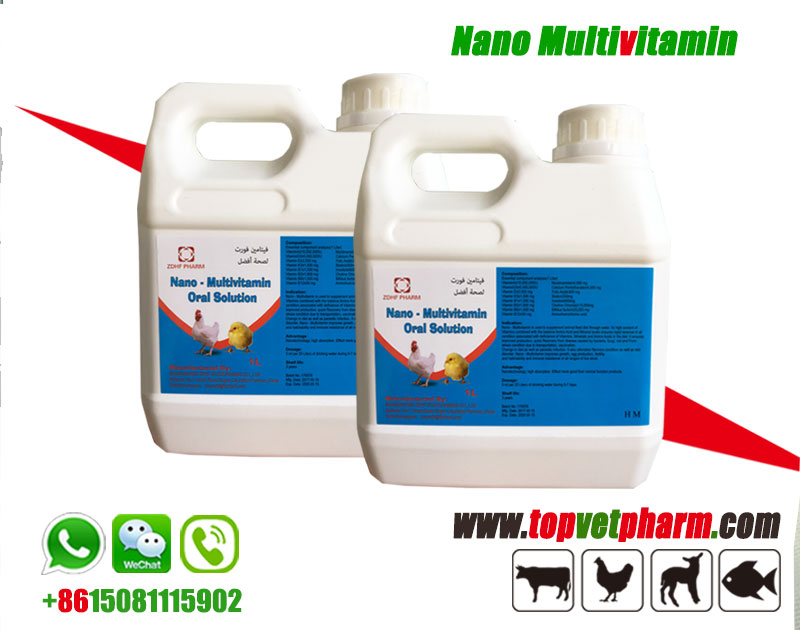 Poultry Nano Complex Nano Multivitamin Oral Solution