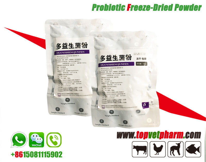 Poultry Probiotics Freeze Dried Powder