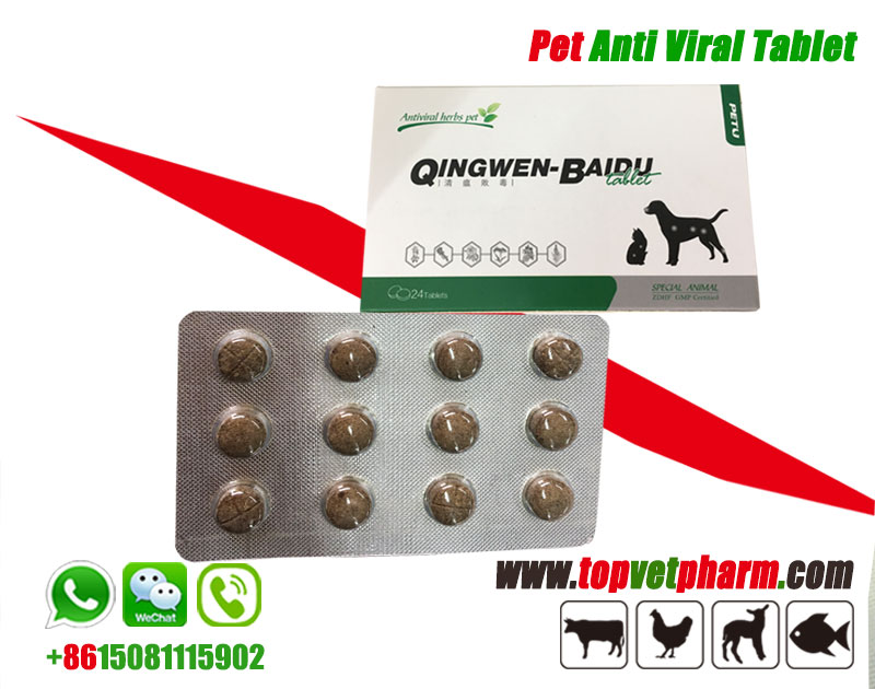 Pet Herbal Antiviral Tablet