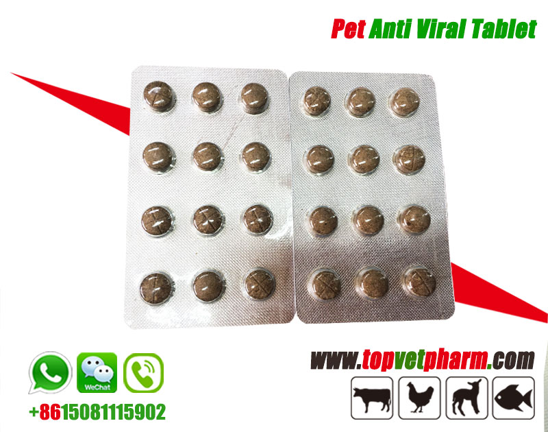 Pet Herbal Antiviral Tablet