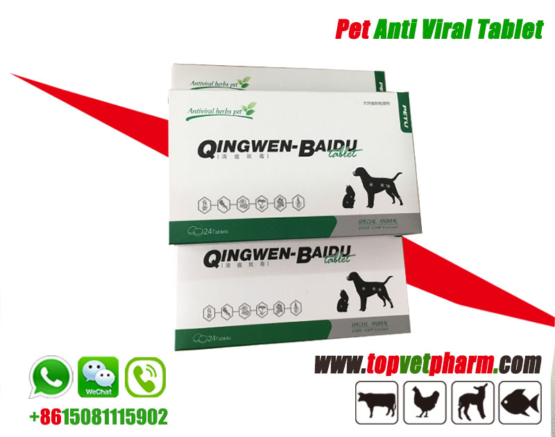 Pet Herbal Antiviral Tablet