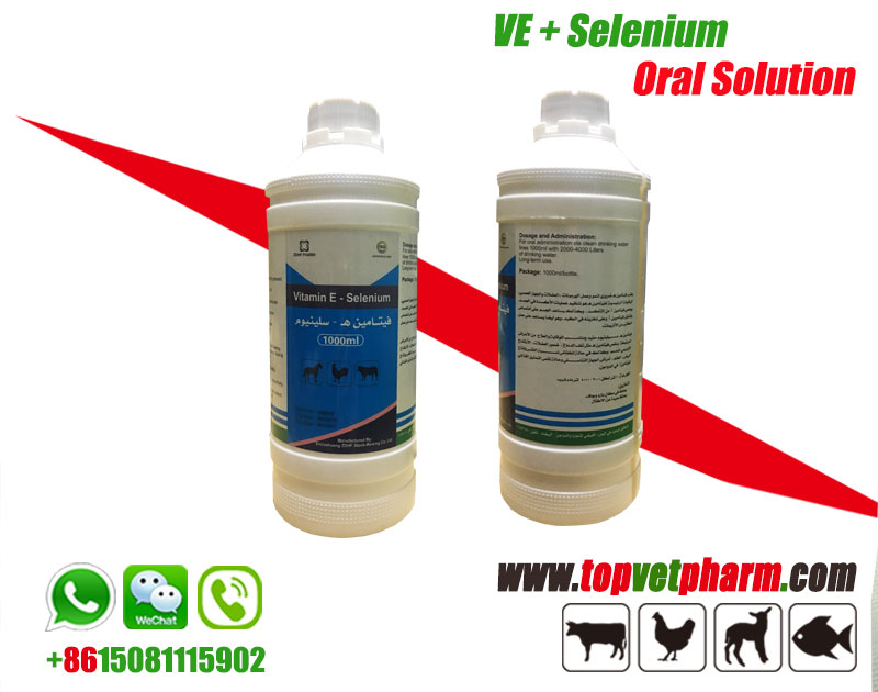 Vitamin E Selenium Oral Solution