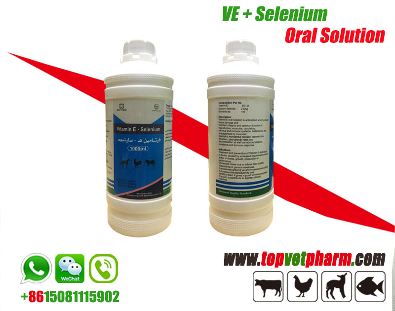 Vitamin E Selenium Oral Solution