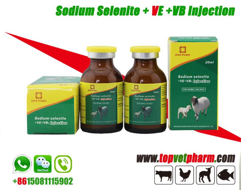 Sodium Selenite Vitamin E  Vitamin B Injection