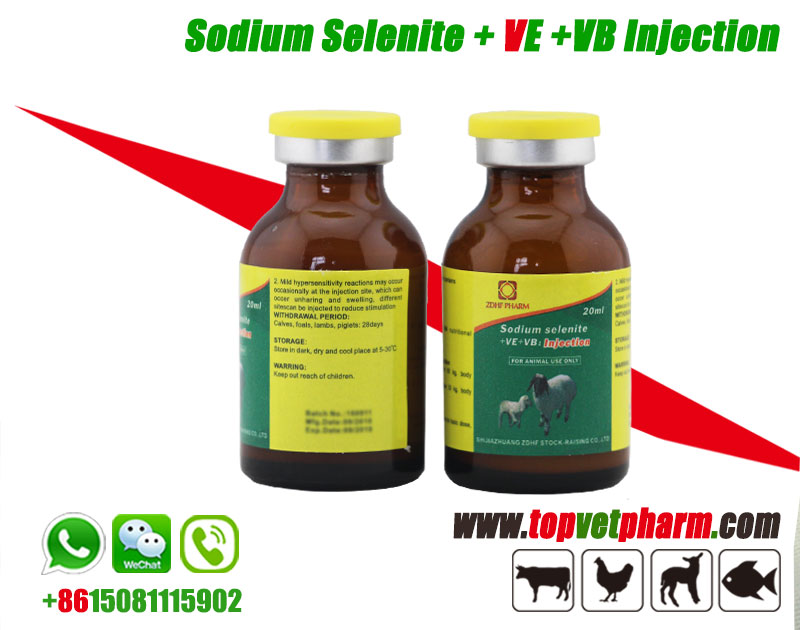 Sodium Selenite Vitamin E  Vitamin B Injection
