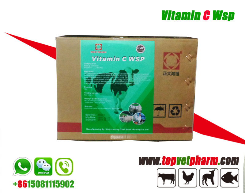 Poultry Vitamin C Water Soluble Powder