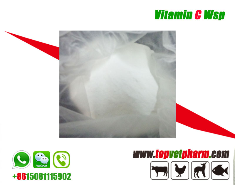 Poultry Vitamin C Water Soluble Powder