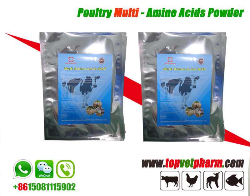 Multivitamin Amino Acids Water Soluble Powder