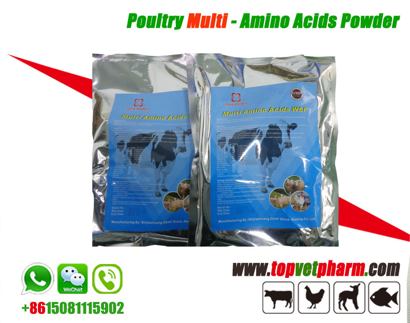 Multivitamin Amino Acids Water Soluble Powder