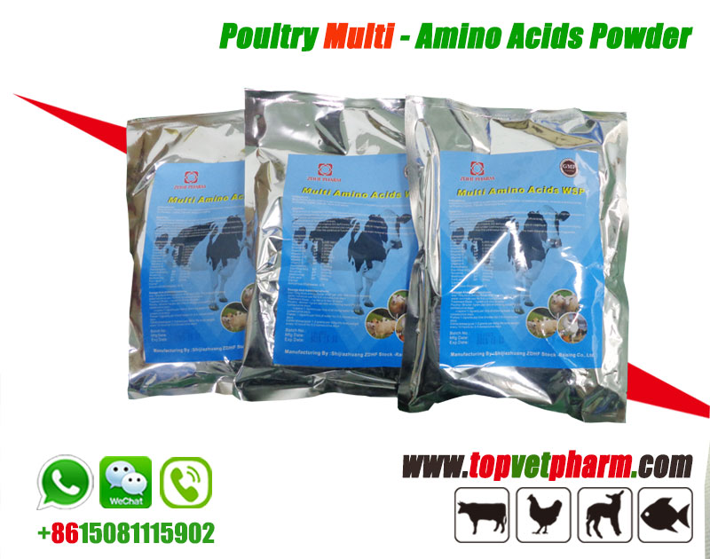 Multivitamin Amino Acids Water Soluble Powder