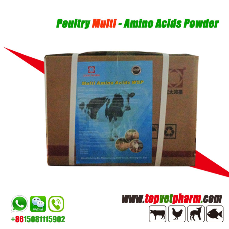 Multivitamin Amino Acids Water Soluble Powder