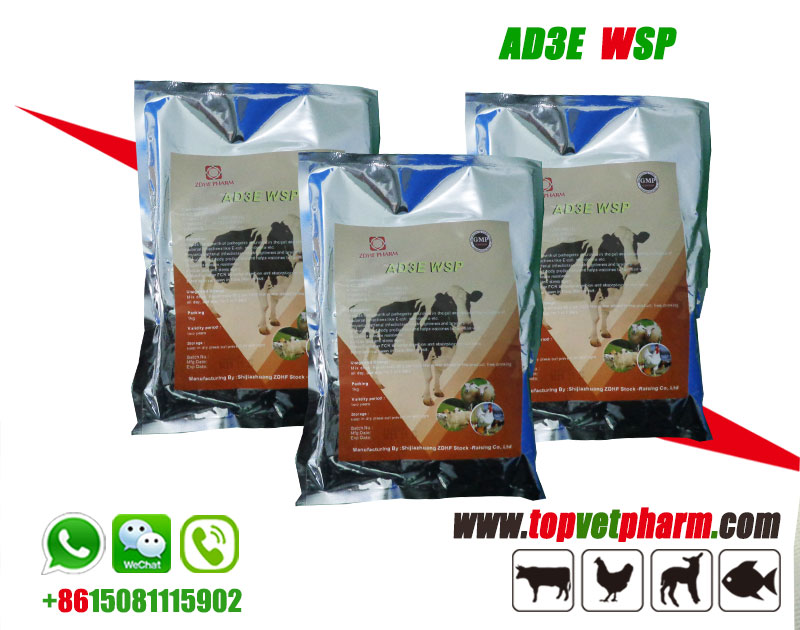 Ad3e Multivitamin Powder