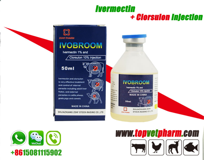 Ivermectin+Clorsulon Injection	