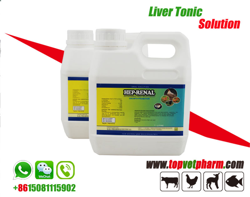 Liver Tonic Oral Solution