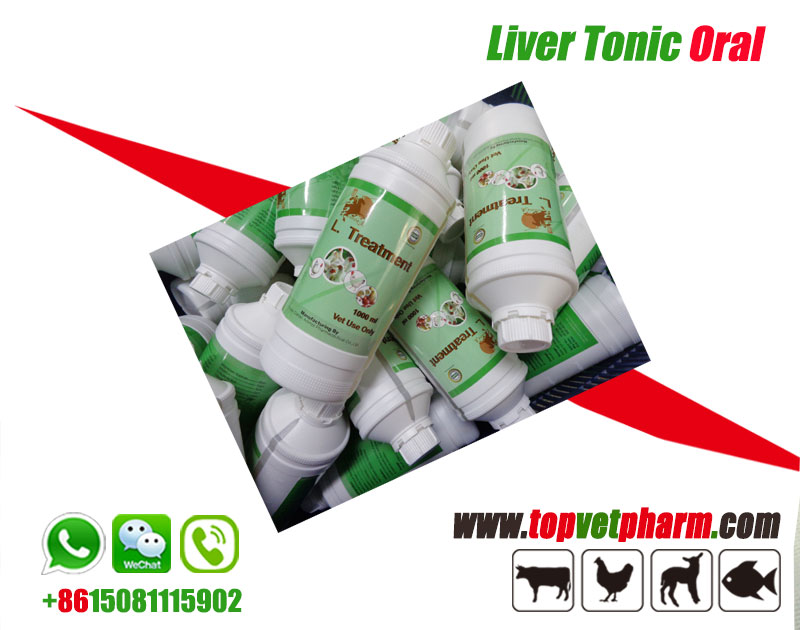 Liver Tonic Oral Solution