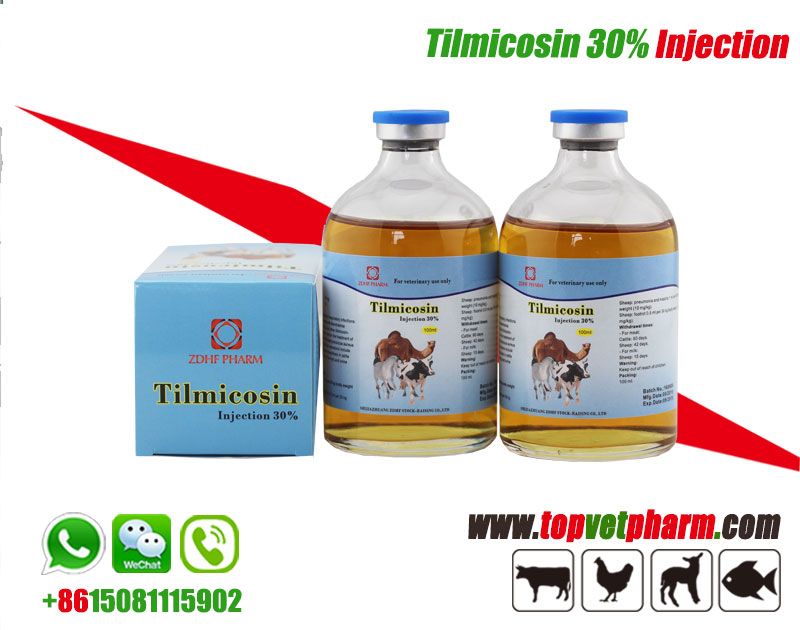 Tilmicosin Injection