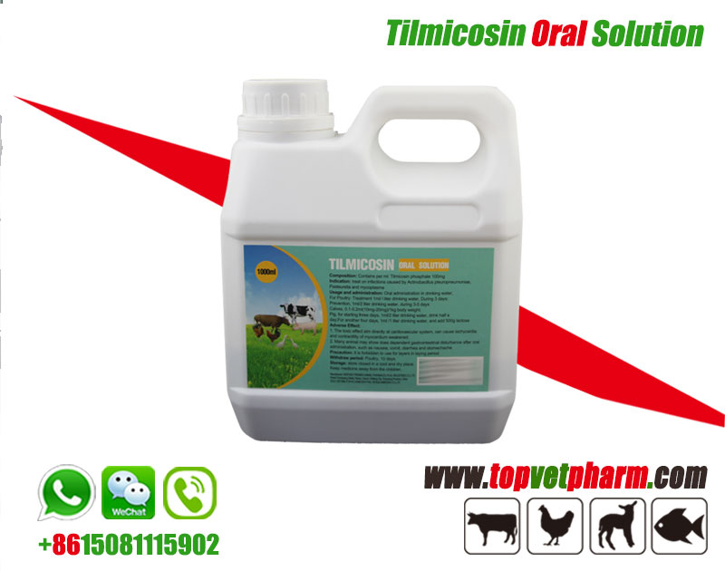 Tilmicosin Injection