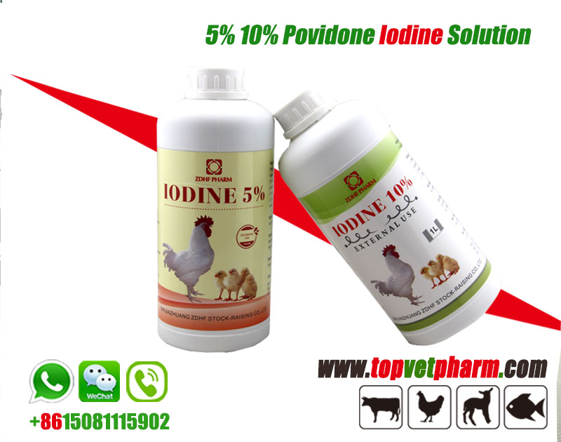 Povidone Iodine 5% Solution
