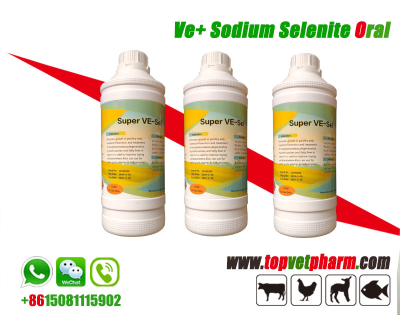 Vita E Sel Oral Solution