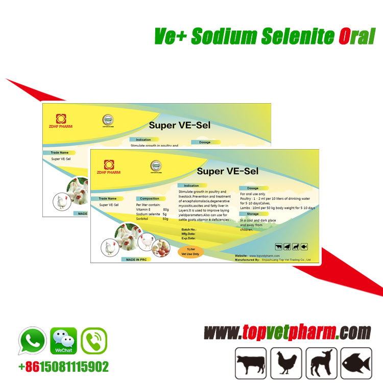 Vita E Sel Oral Solution